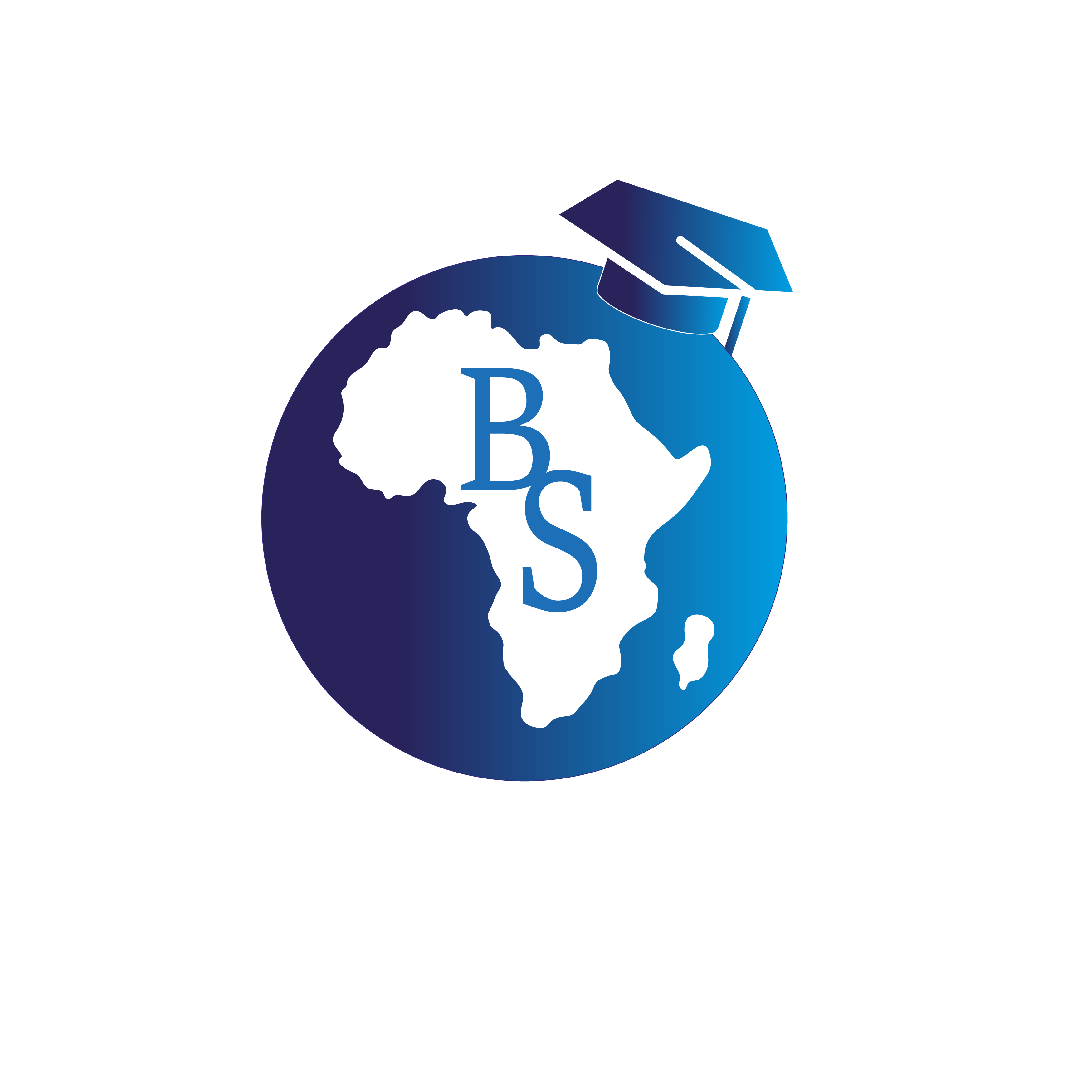 BS INTERNATIONAL Logo